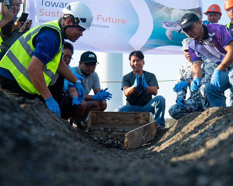 Sea Turtle Conservation at NLR wind farm