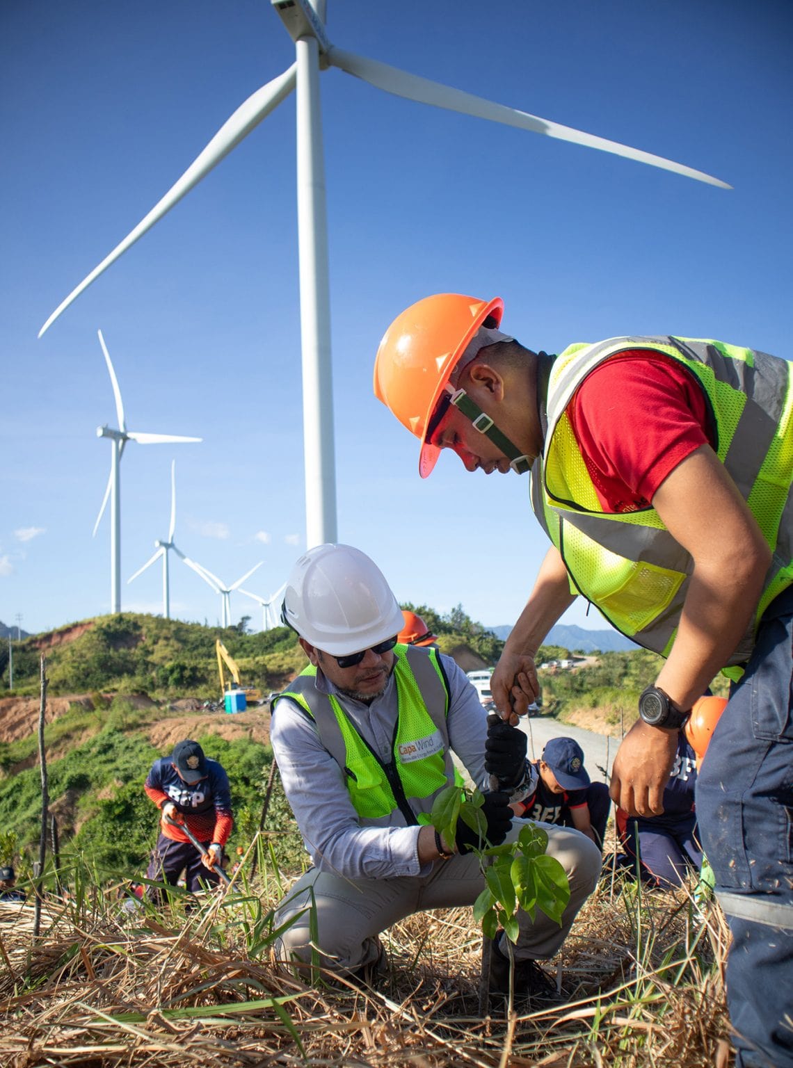 Tree Planting Ilocos Norte wind farm 1140x1536