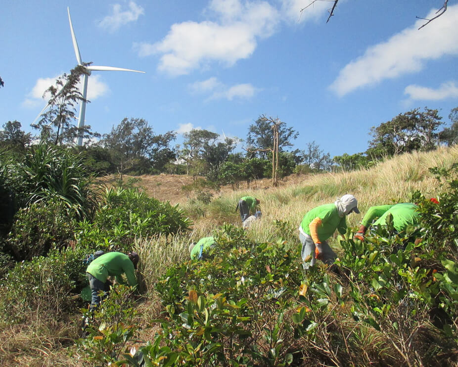 AC Energy moves to develop conservation areas in Pagudpud