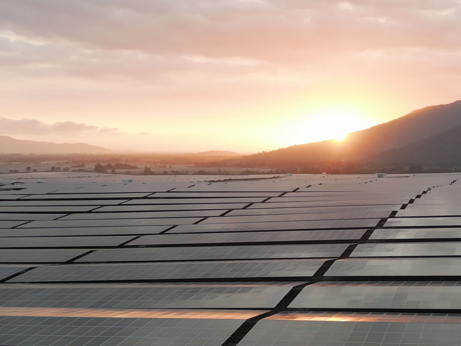 Solar farm in San marcelino Zambales with sunset