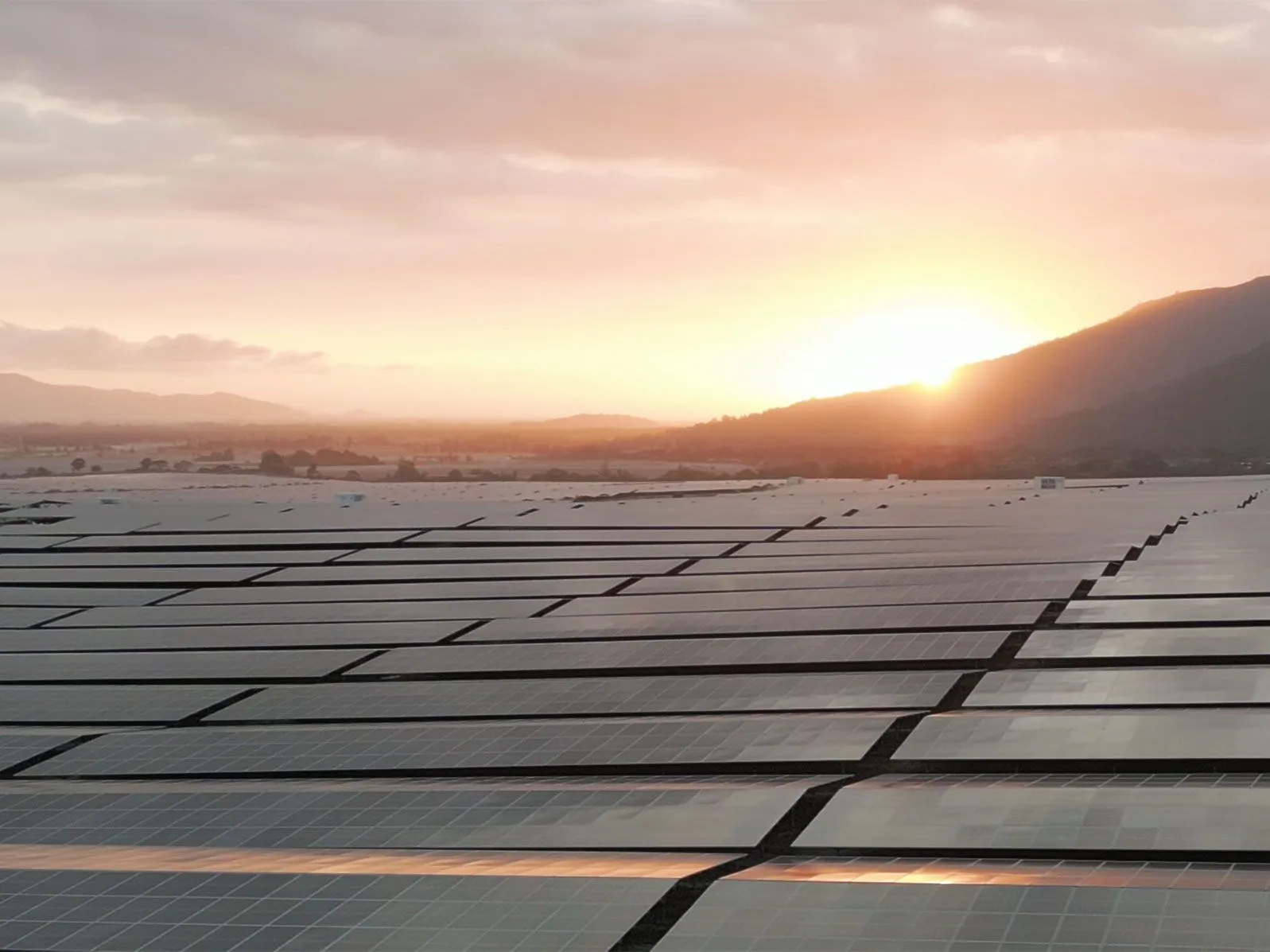 ACEN SanMar Solar farm in Zambales